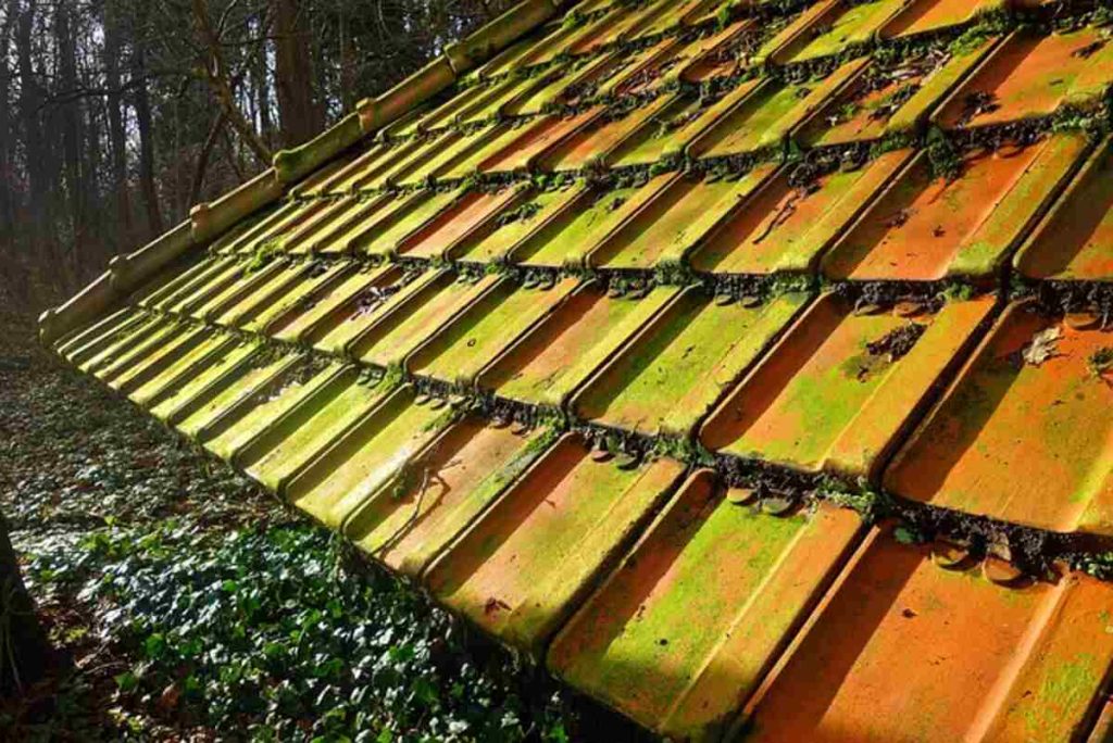 How To Build A Shed Roof