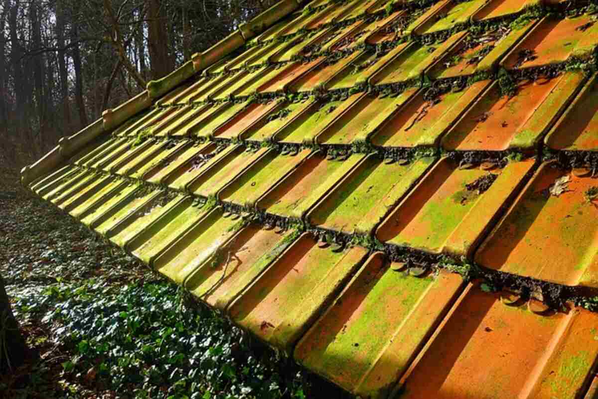 How To Build A Shed Roof