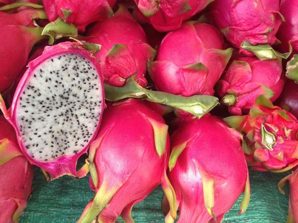 how to cut a dragon fruit