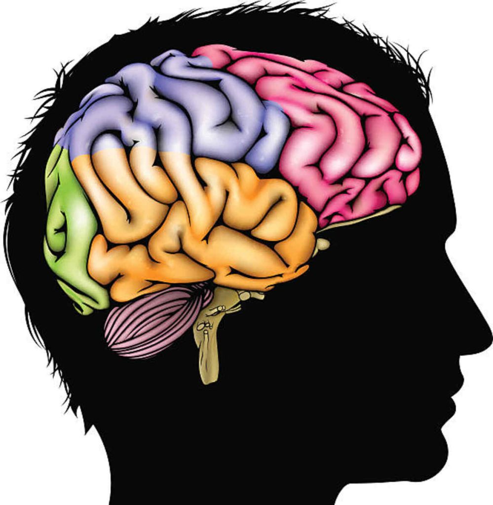 Creative Minds Learning Center