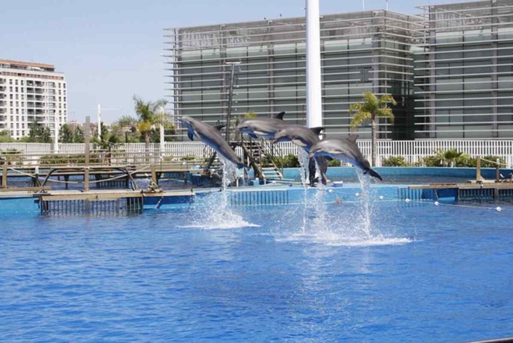 NTPC Eco Park