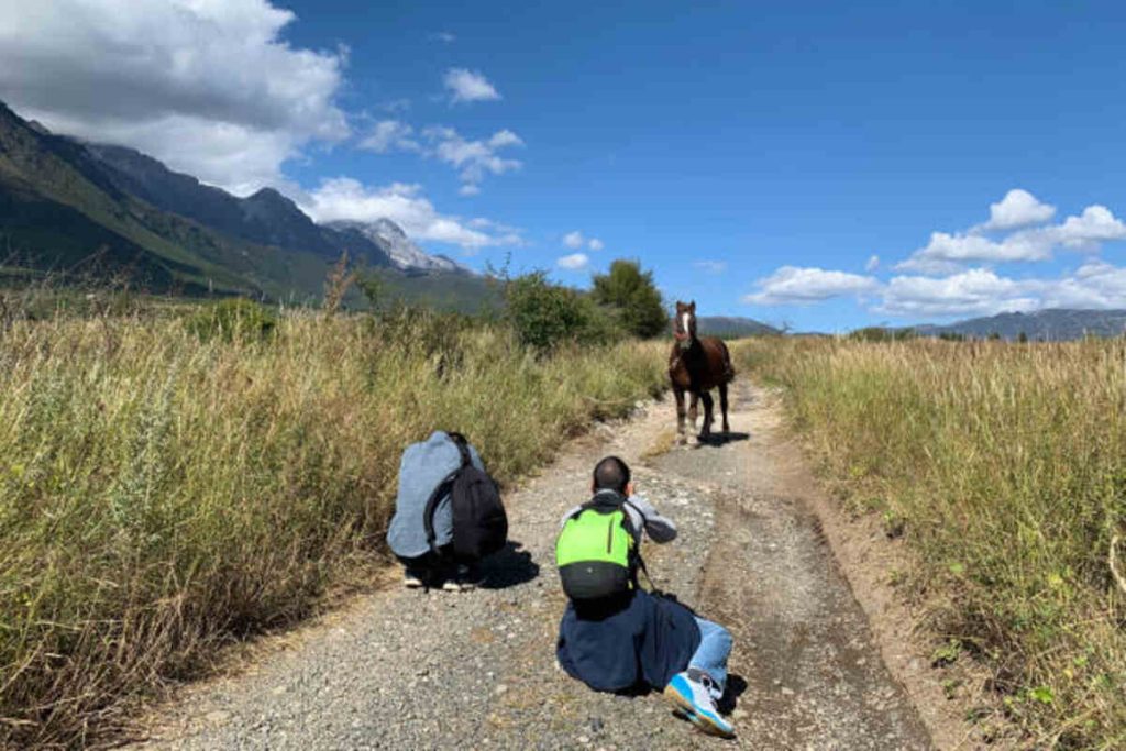 How Far Can a Horse Travel in a Day?