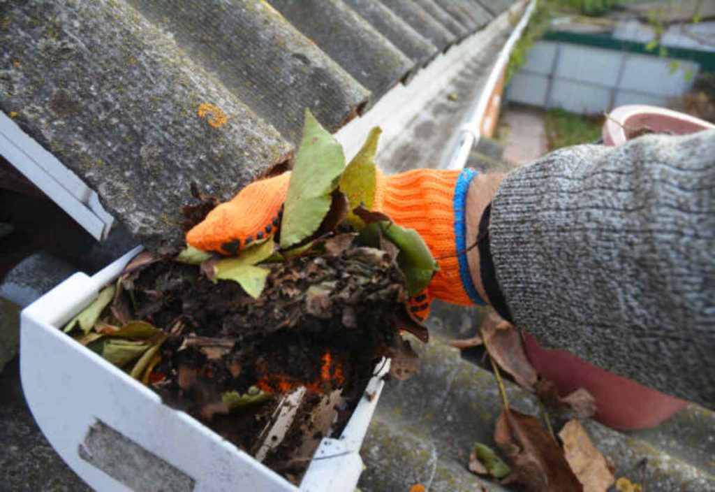 Time of Year to Remove Moss From Roof