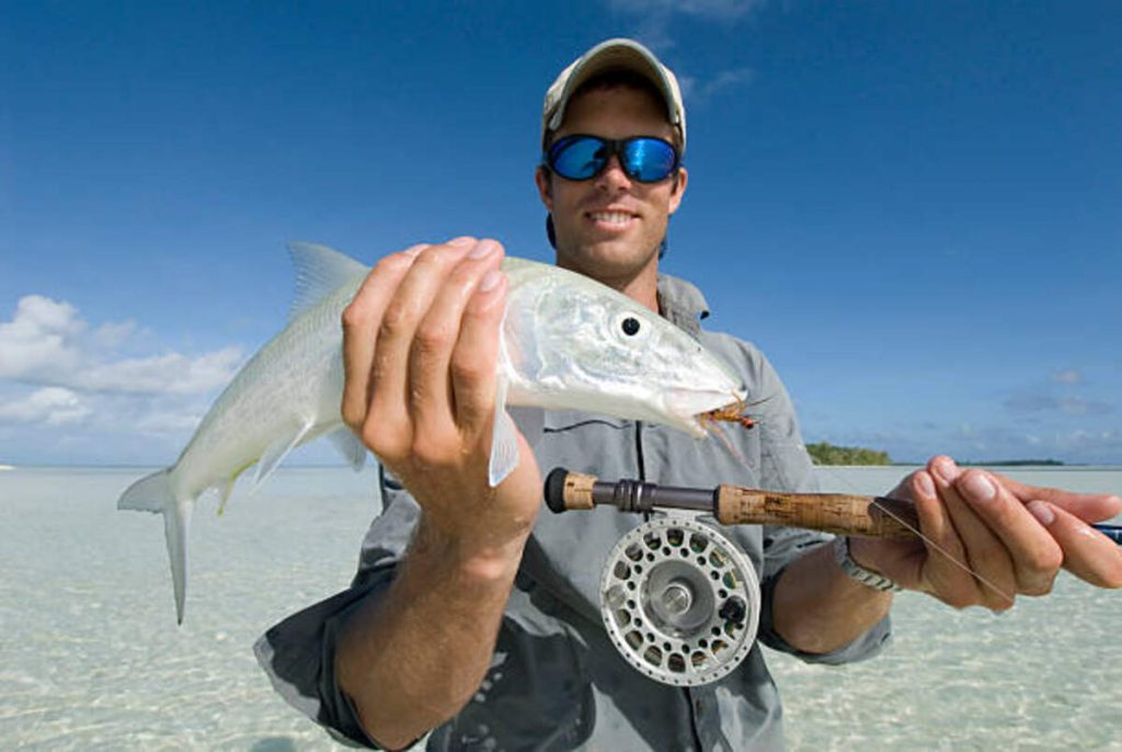 Fish With Sunglasses