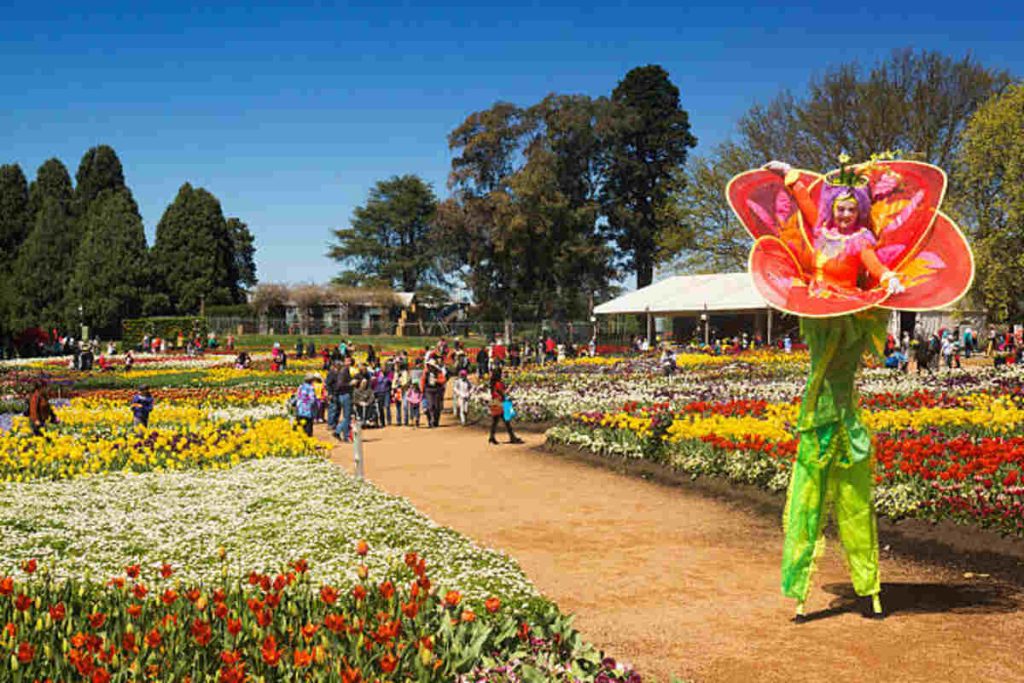 Point Defiance Flower and Garden Festival