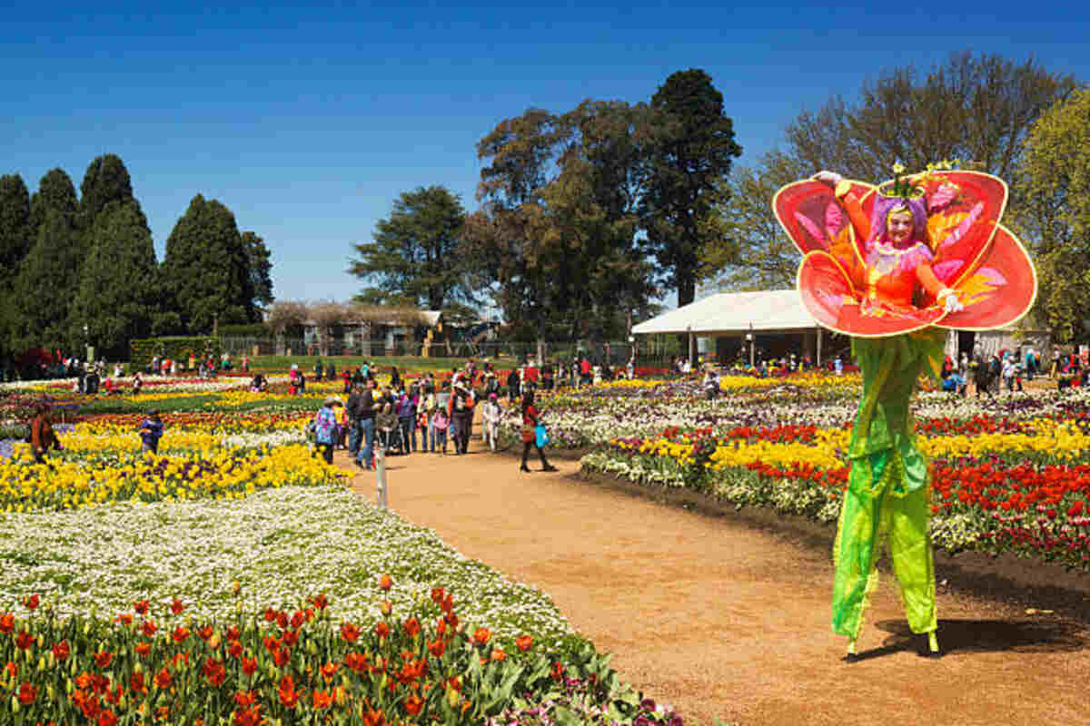 Point Defiance Flower and Garden Festival