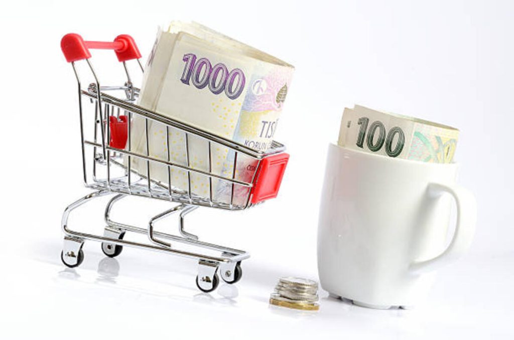 Things to Buy on Temu