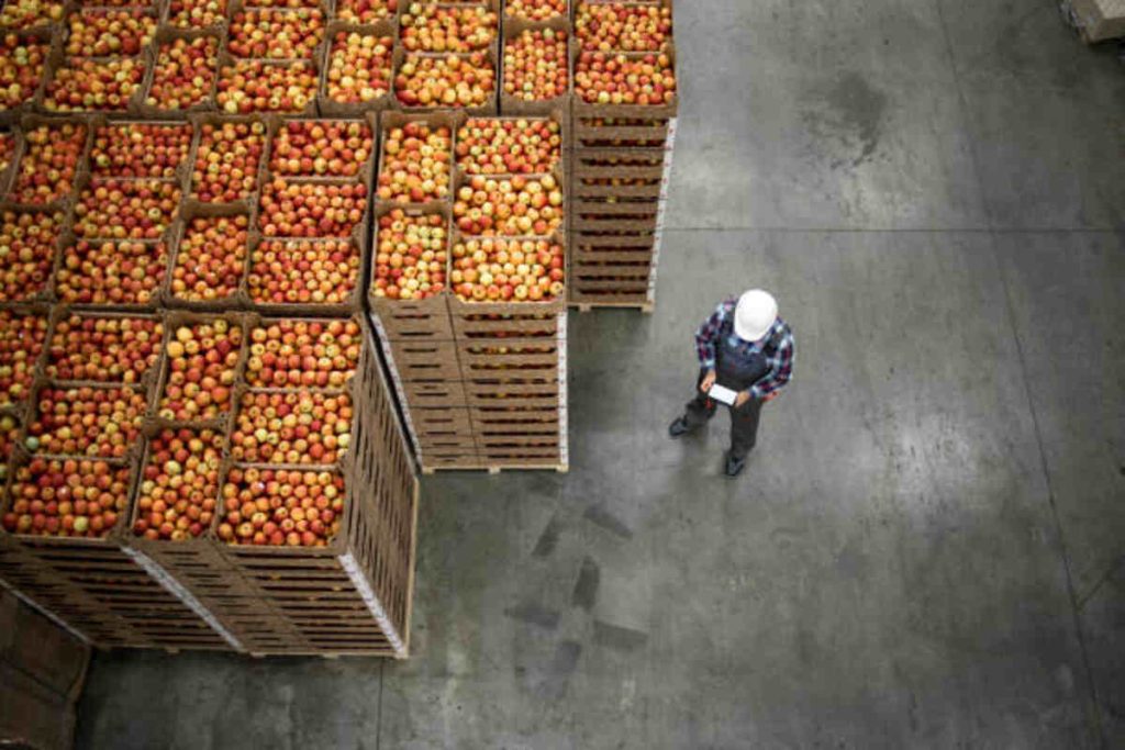 Dwarf Fortress Needs Empty Food Storage