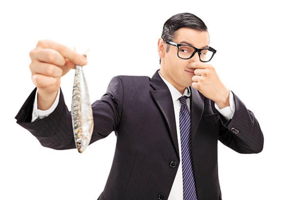 Fish Tie - Fashion Accessories For Men