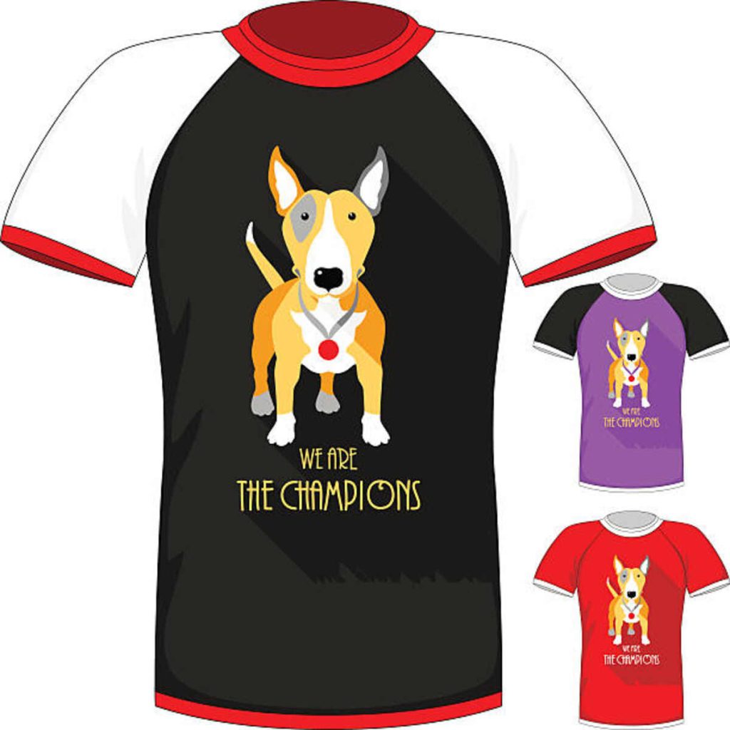 Sea Dog Shirts and Accessories