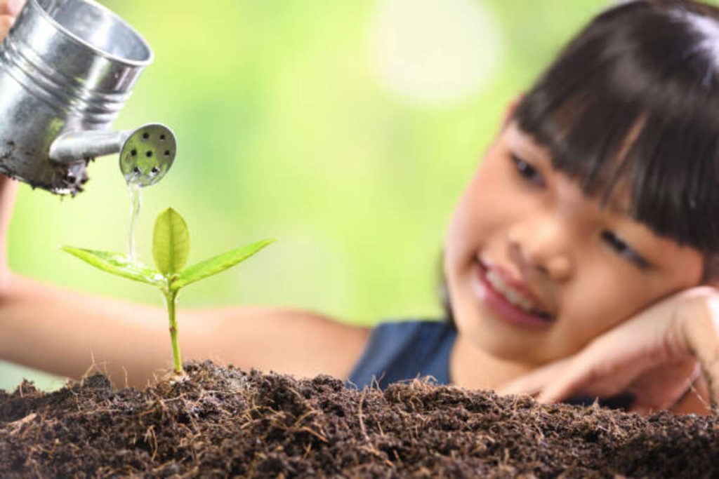 Learning Tree School is a Great Place For Children to Grow and Learn