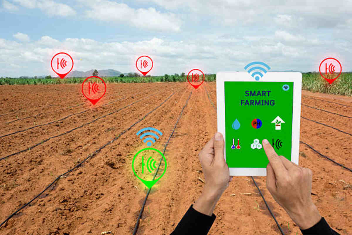 What is the Priority Followed in Field Status Variant Application?