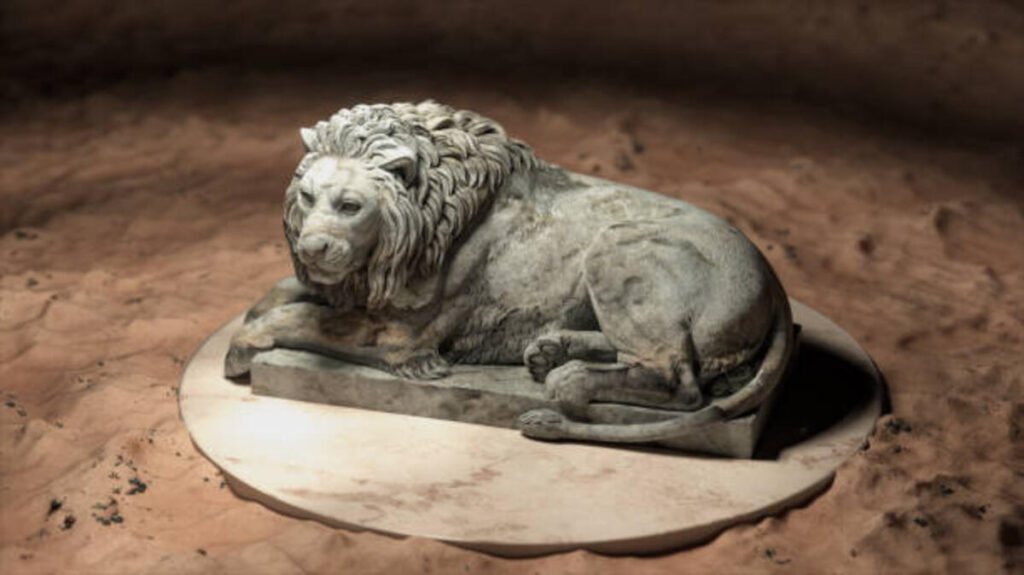 Caring for Your Lion Mount Display